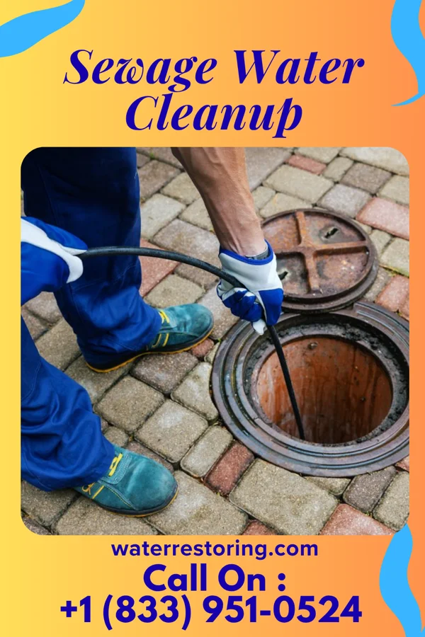 Sewage Water Cleanup in Pleasure Point, CA